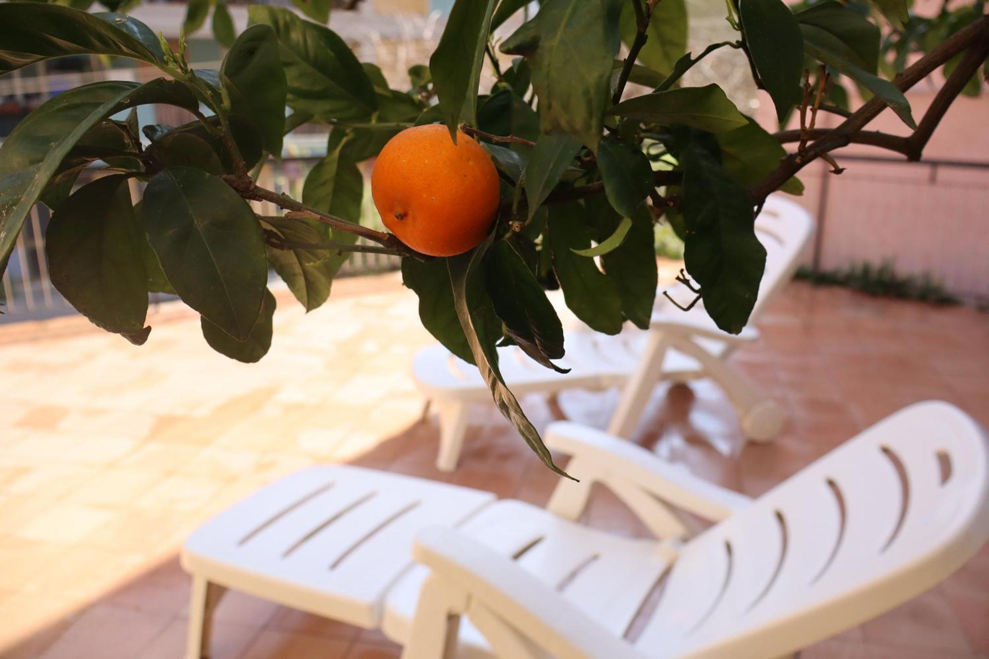 Giulio's Terraces In The Bay Appartement Porto Venere